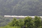 Horseshoe Curve